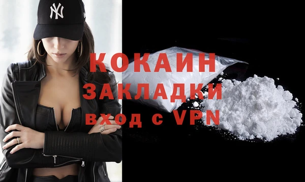 сатива Абинск