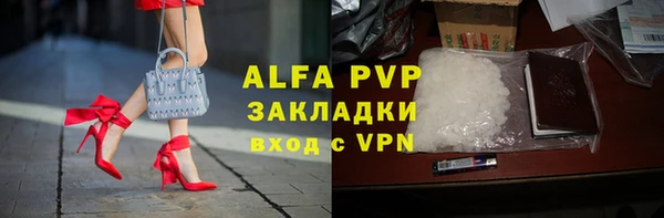 сатива Абинск
