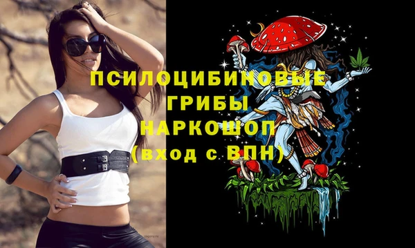 ALPHA PVP Нефтекумск