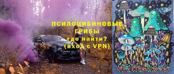 сатива Абинск