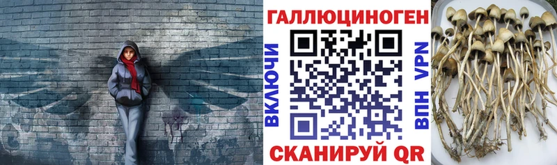 Галлюциногенные грибы мицелий  где купить   Смоленск 